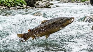 Samedi tout est permis! 